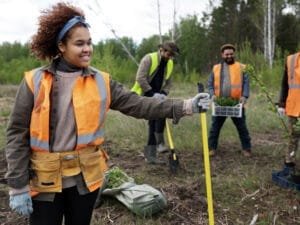 reforestation-done-by-voluntary-group
